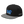 Load image into Gallery viewer, DCUPS - R - FUD SNAPBACK