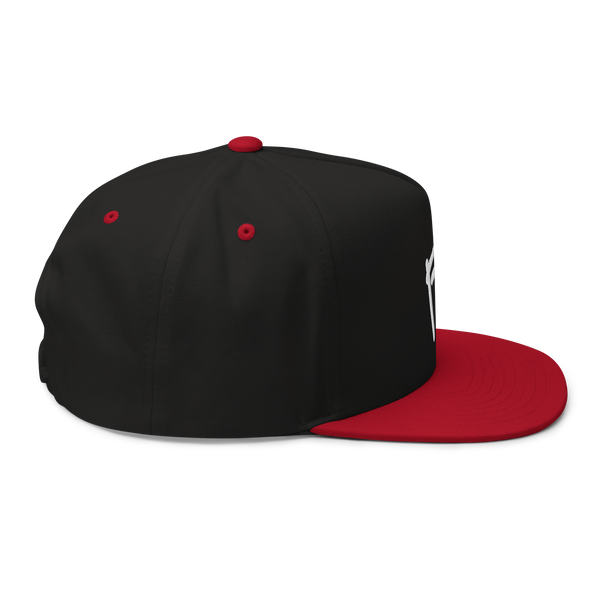 pablos.lol "P" SNAPBACK